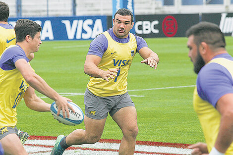 Los Pumas buscan seguir en modo éxito