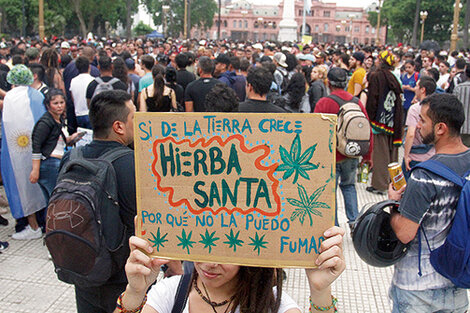 A la Plaza por el autocultivo