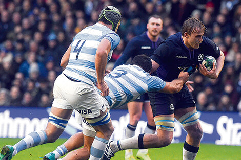 Los Pumas siguen sumando caídas