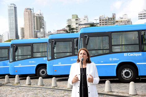 Fein habló con la prensa en la presentación de las unidades del transporte de la empresa El Cacique.