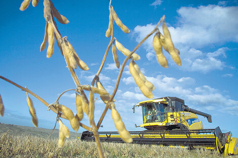 Hasta en el campo critican