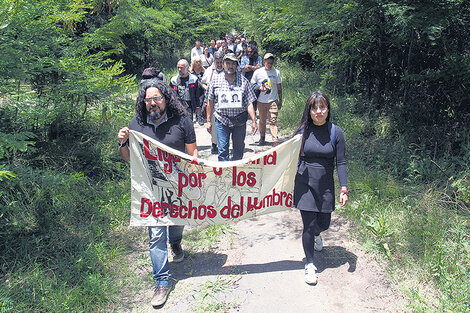 El Campito, tragado por el monte