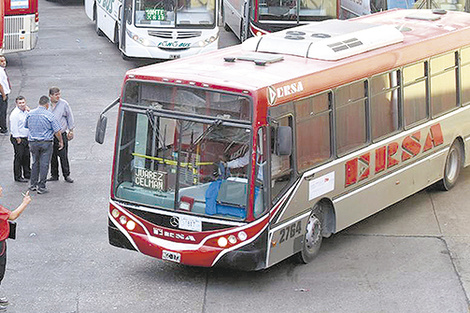 Bondis provinciales a la buena de Dios