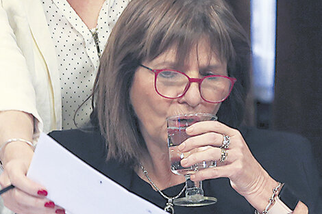 La ministra de Seguridad, Patricia Bullrich, volcada de lleno a la campaña electoral.