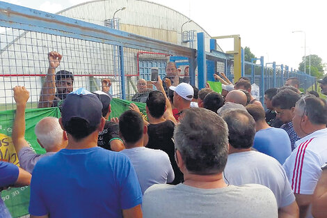 De planta modelo a conflicto testigo