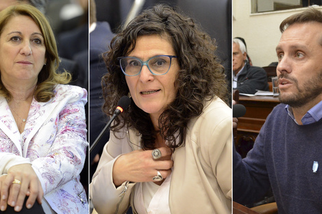 Mónica Fein va para senadora. Norma López por el peronismo. Martín Rosúa por Cambiemos