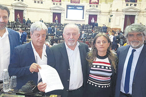 La diputada Vanesa Siley junto a los legisladores que la acompañaron en la presentación en el Congreso.