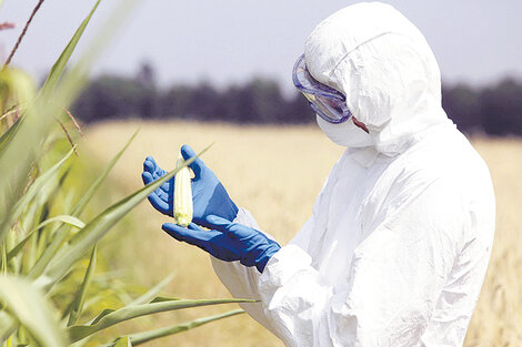 Los dueños del agro y la alimentación