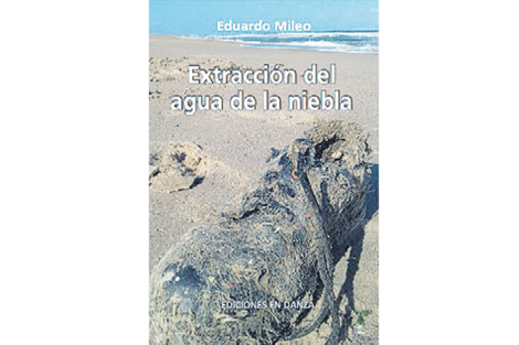 Extracción del agua de la niebla Eduardo Mileo Ediciones en Danza 448 páginas