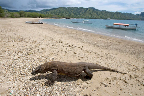 Prohibición temporal del turismo en Indonesia