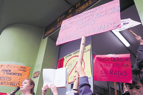 Más ratas en las escuelas