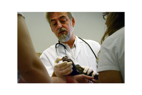 Gustavo Tártara, Docente de la Facultad de Veterinarias de la Universidad Nacional de Rosario.