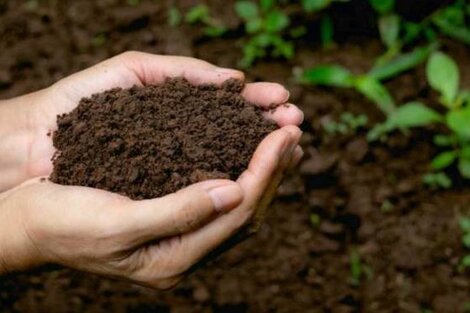 El compost humano ha sumado adeptos en los últimos años.