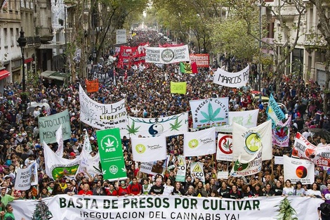 Marcha Mundial de la Marihuana 2019: Una convocatoria que no es puro humo