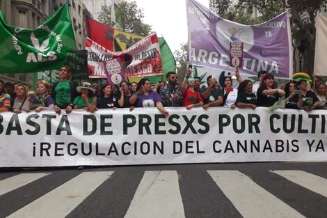 Marcha Mundial por la Marihuana 2019: No es sólo por el faso