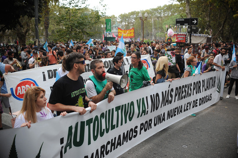 Las plantas en el medio del reclamo