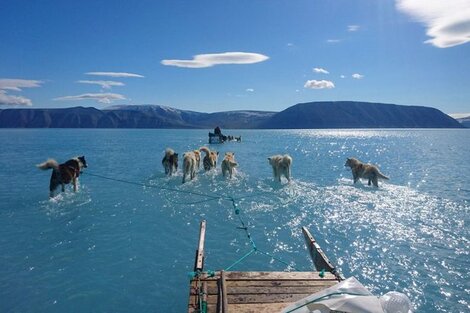 La foto que dio la vuelta en las redes y alertó sobre el cambio climático