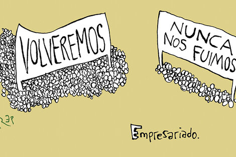false (Fuente: REP)