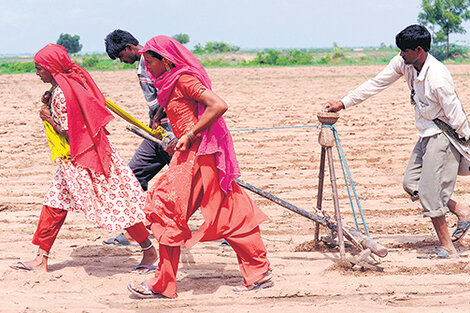 Las condiciones laborales en las zonas rurales de la India atrasan siglos.