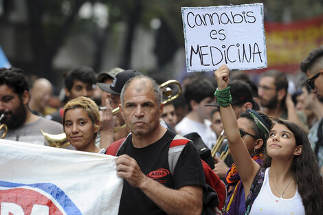 El activismo da a conocer los beneficios del cannabis medicinal.