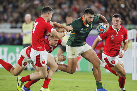 Mundial de rugby: Sudáfrica jugará la final contra Inglaterra