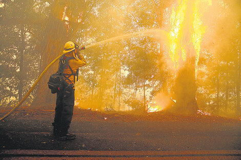 California: evacúan 180 mil personas por incendios forestales