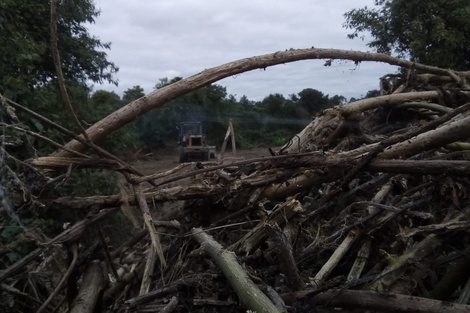 Pese a la suspensión, continuó el trabajo con máquinas en Río Blanco 