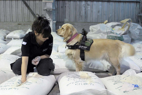 El cargamento de arroz con la cocaína fue interceptado en el puerto de Rosario. (Fuente: Télam)