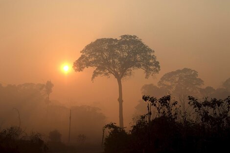 Amazonas en llamas: Brasil registró en junio el mayor número de incendios en 13 años