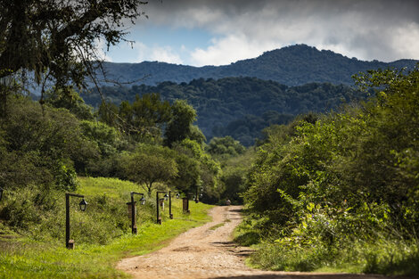 El Rey, de estancia a Parque Nacional