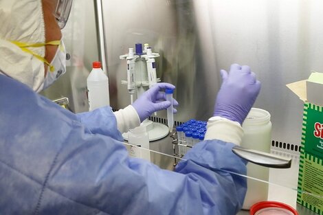La provincia reportó 6 contagios ayer, la Nación dijo que son 23 