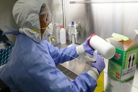 El Gobierno informó que los 19 positivos en trabajadores de Salud eran falsos 
