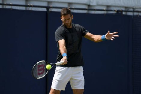 Del Potro quiere volver a entrenarse al máximo nivel, para pensar en un posible retorno.