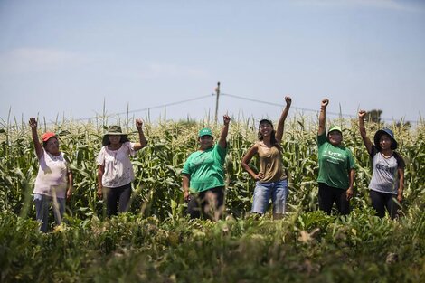 El coronavirus y la búsqueda de una nueva ruralidad: las familias que se mudarán a Tapalqué