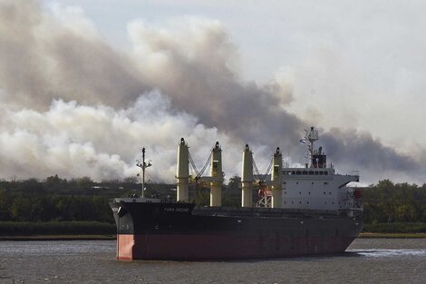 Incendios en el delta del Paraná: la opinión ciudadana es clara