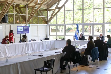 Carla Vizzotti expone ayer en Olivos en la reunión con Alberto Fernández y los epidemiólogos.