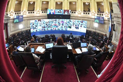 La Cámara de Senadores funciona de manera remota desde el comienzo de la crisis de la Covid-19, igual que la de Diputados. 