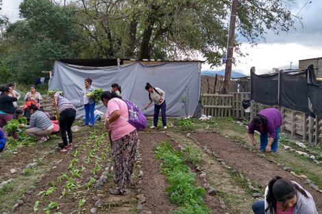 La huerta en casa, a cambio de mercadería y ropa para comedores 