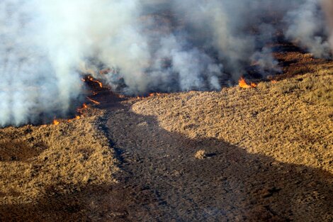 Incendios del Delta de Paraná: Cabandié le pidió a la Justicia que "actúe y no tenga miedo"