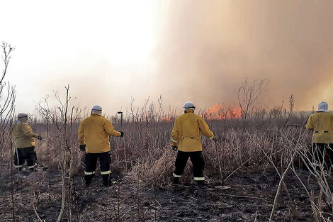 En diálogo con PáginaI12, Juan Cabandié aseguró que los responsables de los incendios son "los productores agropecuarios de la zona que están quemando los pastizales para mejorar el forraje"