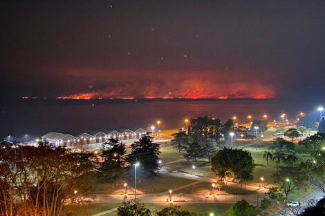 Dos detenidos por los incendios en el delta del Paraná