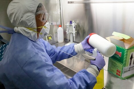 Once nuevos contagios de Covid-19 en la provincia 