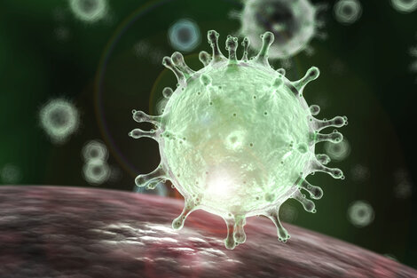 Coronavirus, responsabilidad y proceso democrático.  