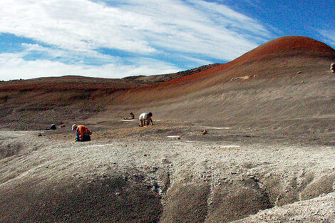 Hallan una rana patagónica de 60 millones de años 