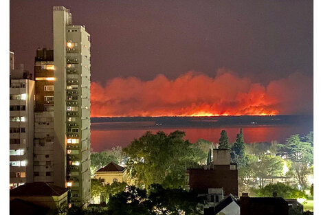 Incendios en el  Delta del Paraná: la Corte ordenó la creación de un "Comité de Emergencia Ambiental" 