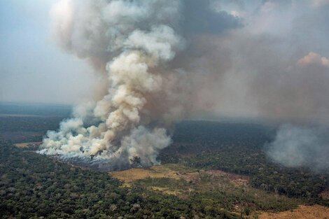 Bolsonaro dice que no crecieron los incendios en la Amazonía