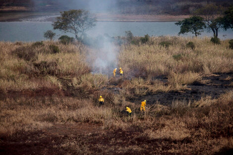 "Los incendios en las islas demandan una inversión diaria de 22 millones de pesos"