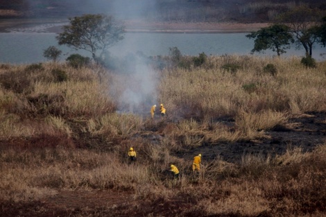 Incendios en el Delta del Paraná: coordinan la prevención