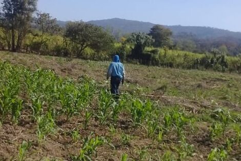 Comunidad guaraní denuncia que les cerraron el paso al río Tarija