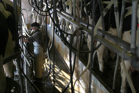 Podría faltar leche por un conflicto gremial 